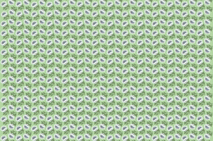 CAA1493 Avocado