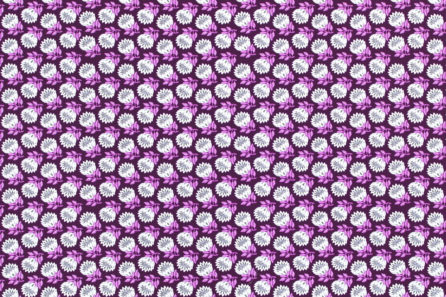 CAA1493 Purple