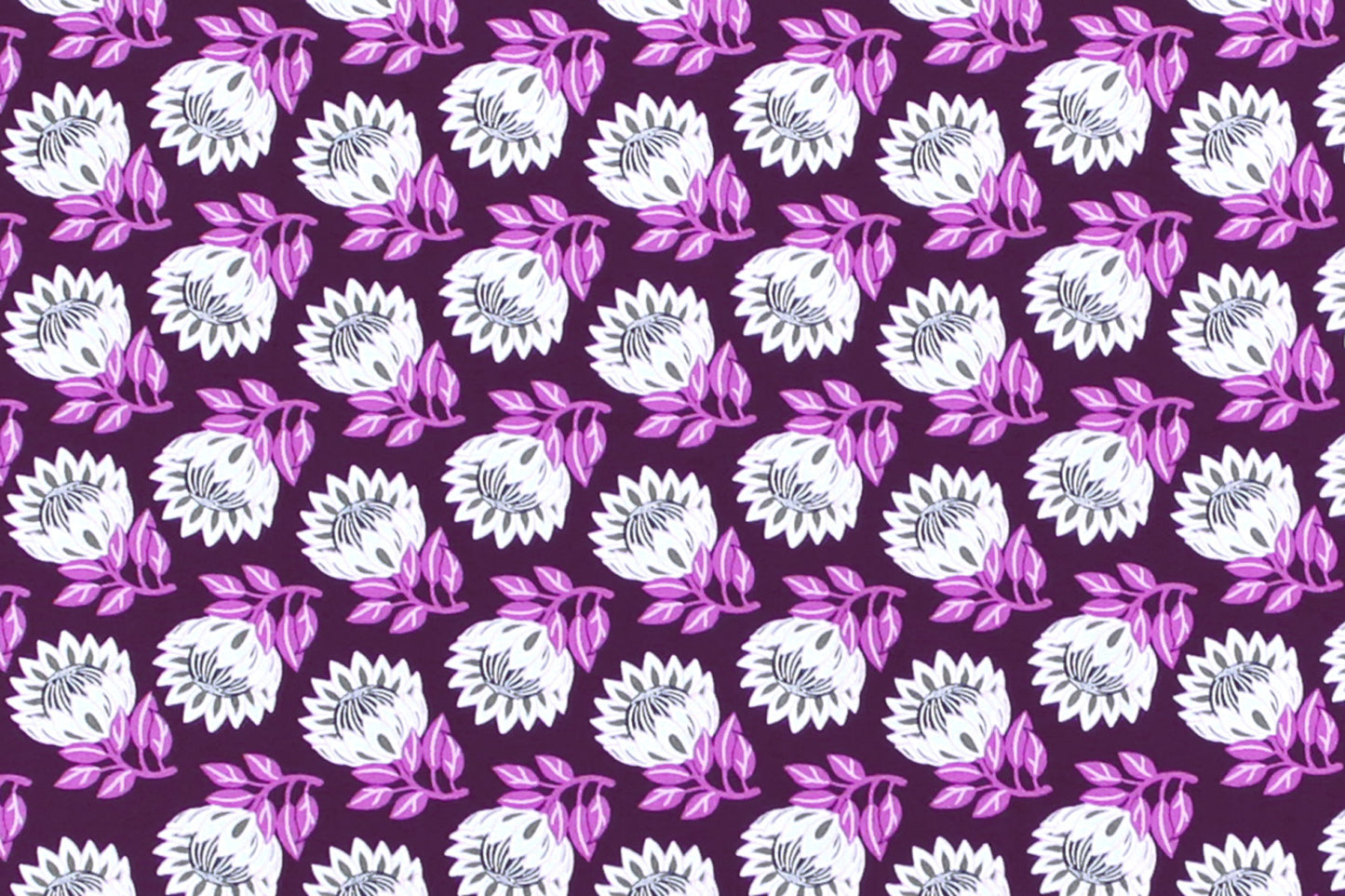 CAA1493 Purple