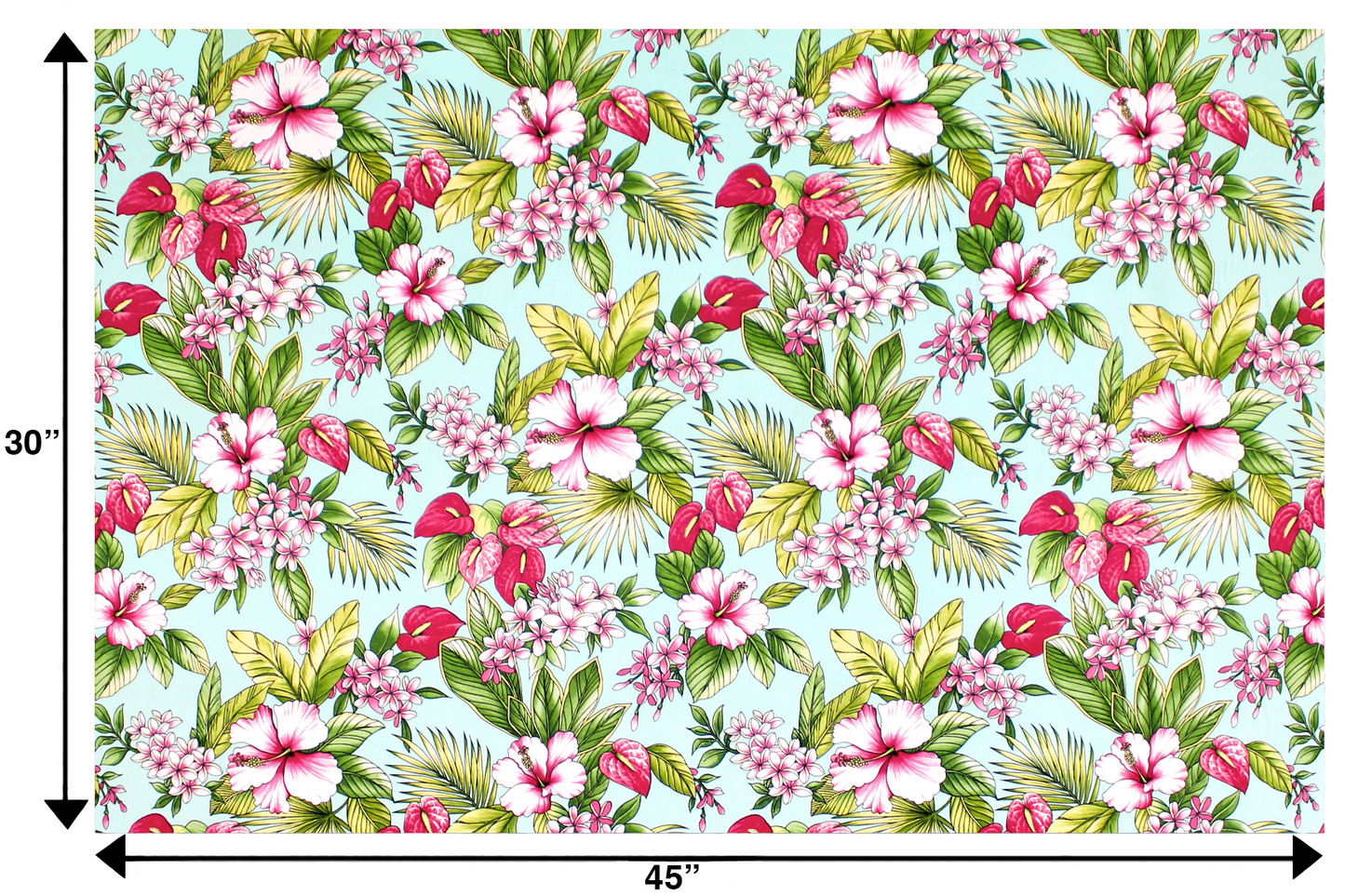 CAA1496 Aqua