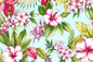 CAA1496 Aqua