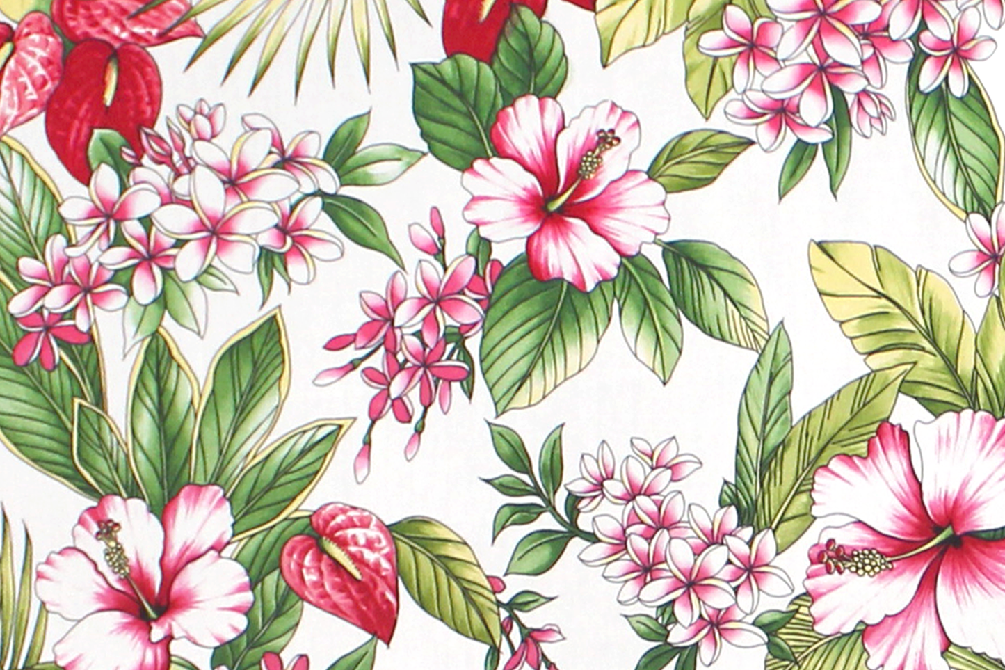 CAA1496 White