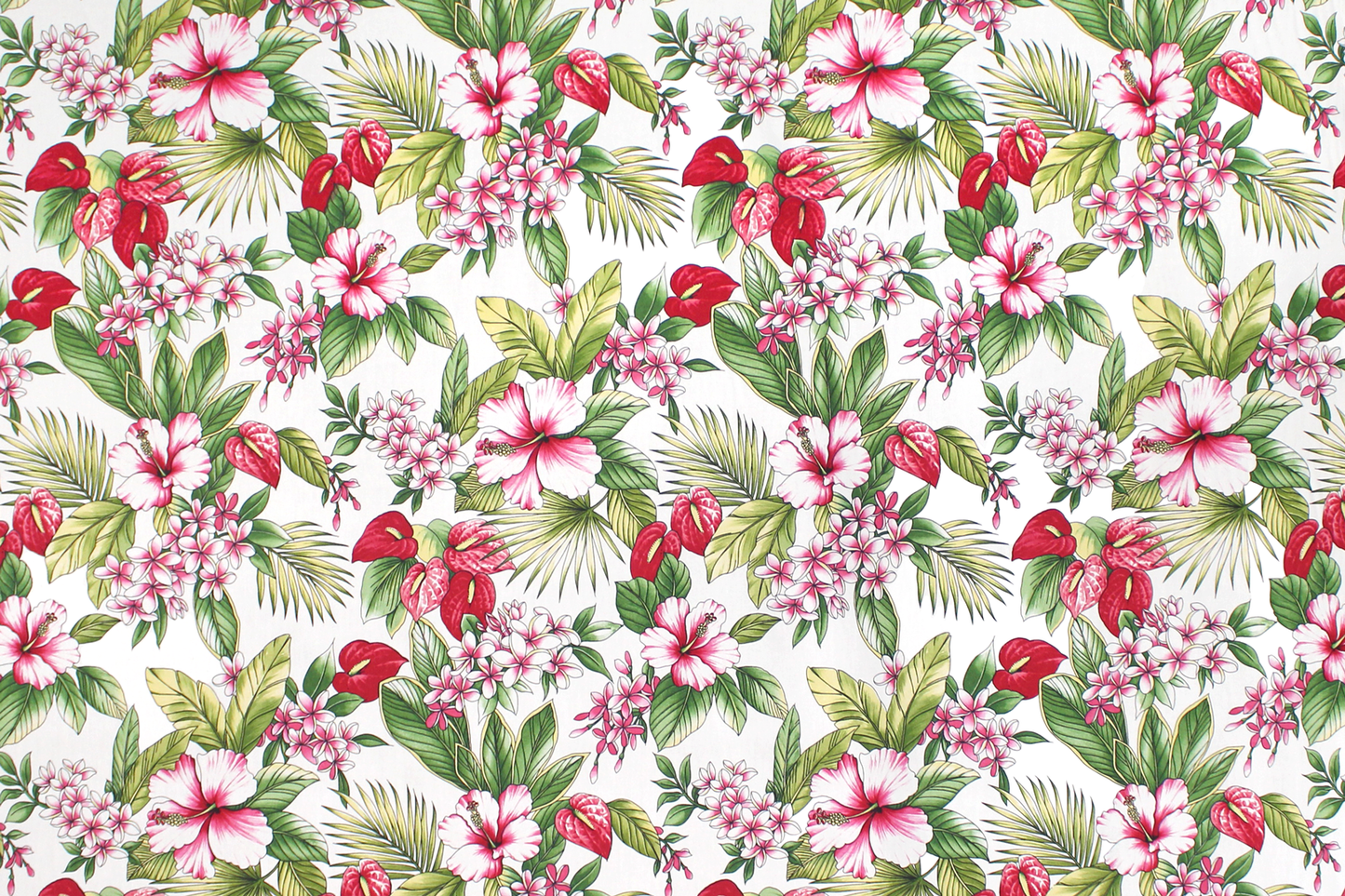 CAA1496 White