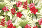 CAA1499 Maize