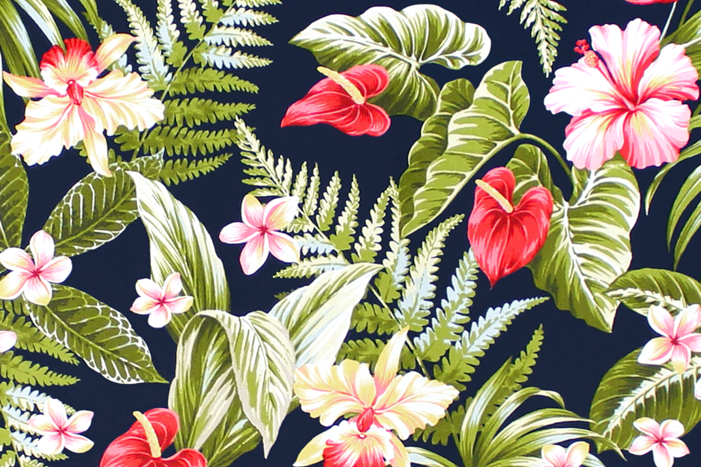 CAA1501 Navy