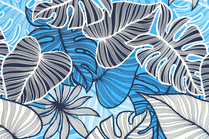 CAA1504 Blue