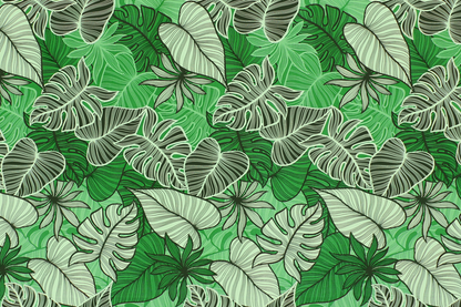 CAA1504 Green