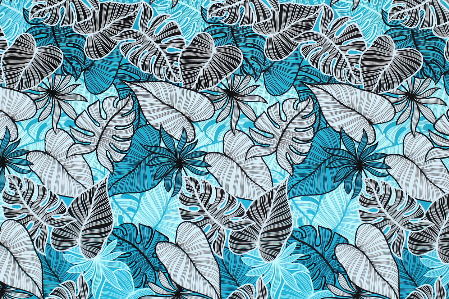 CAA1504 Teal