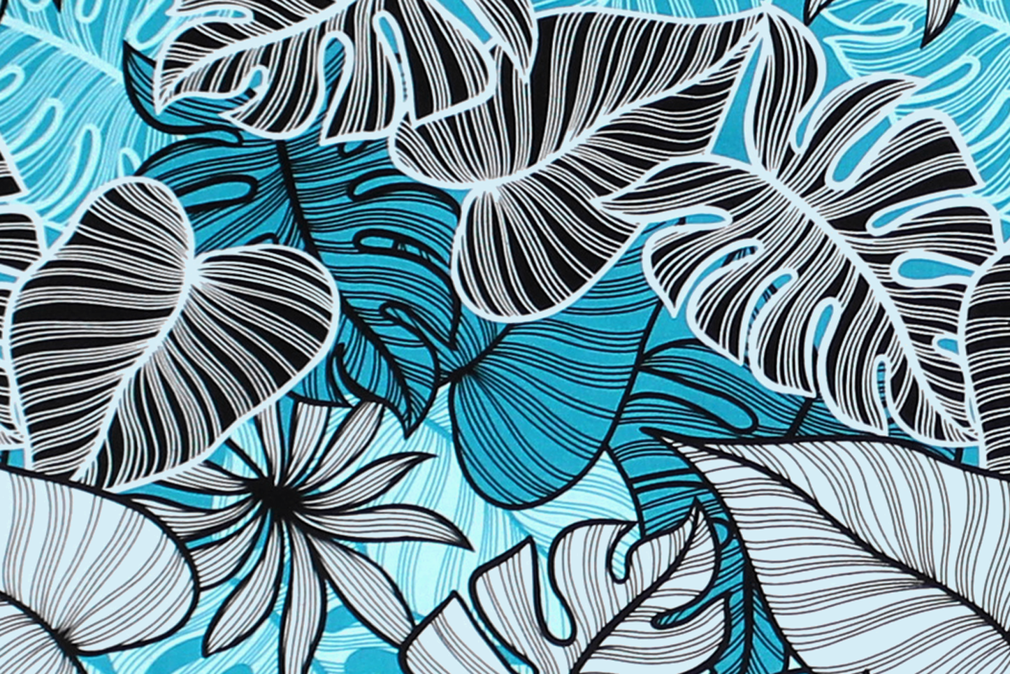CAA1504 Teal