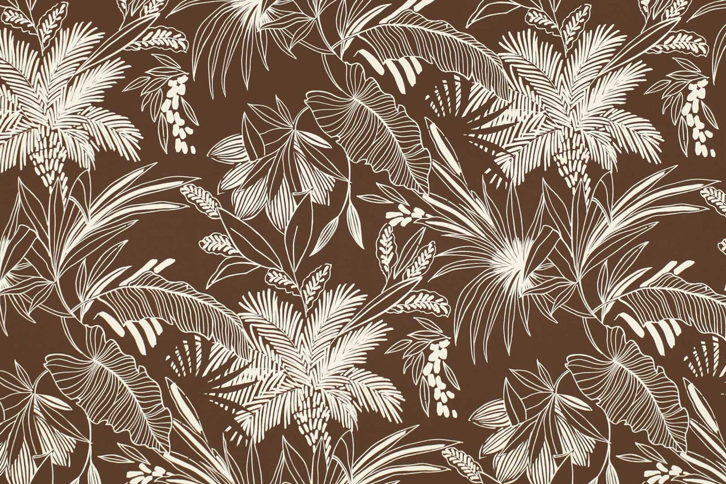 CAA1505 Cocoa
