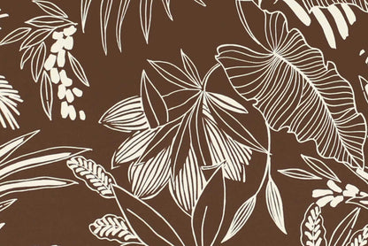 CAA1505 Cocoa