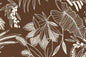 CAA1505 Cocoa