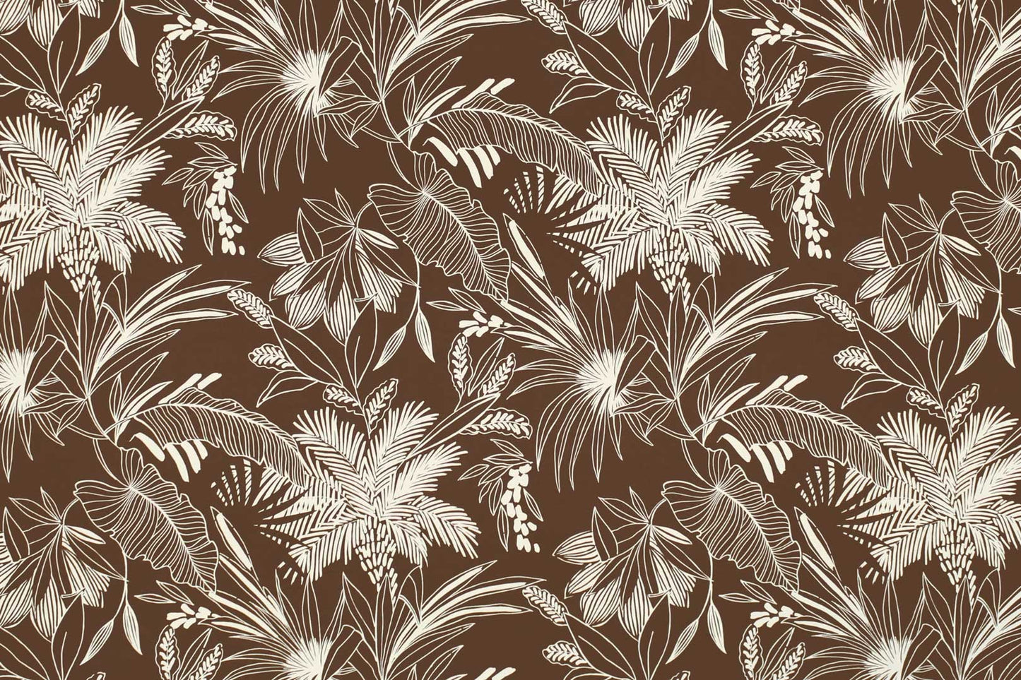 CAA1505 Cocoa