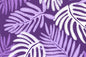 CAA1506 Purple