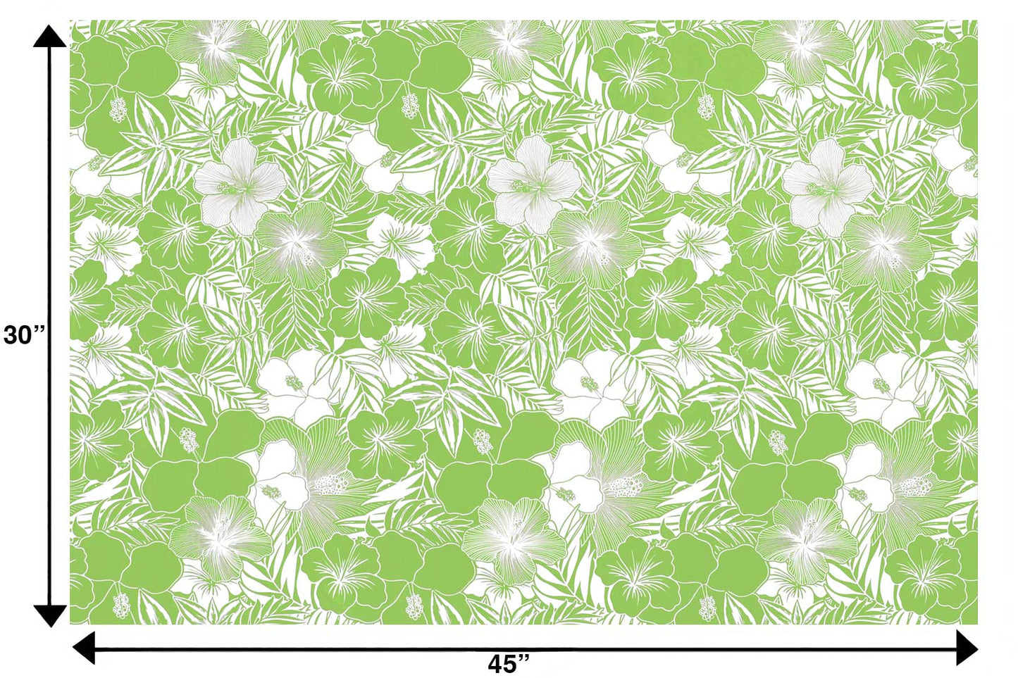 CAA1507 Avocado