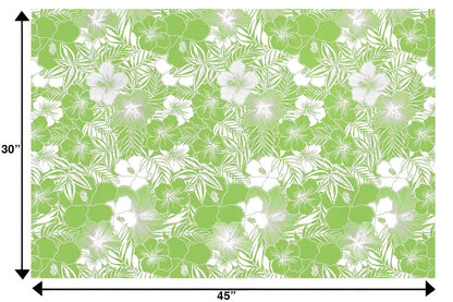 CAA1507 Avocado