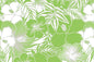 CAA1507 Avocado