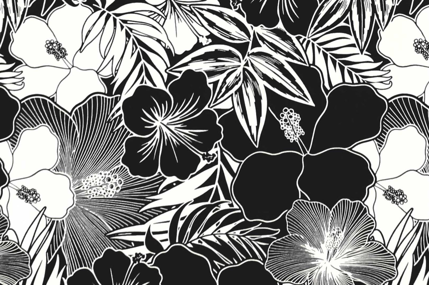 CAA1507 Black