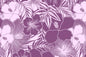 CAA1507 Purple