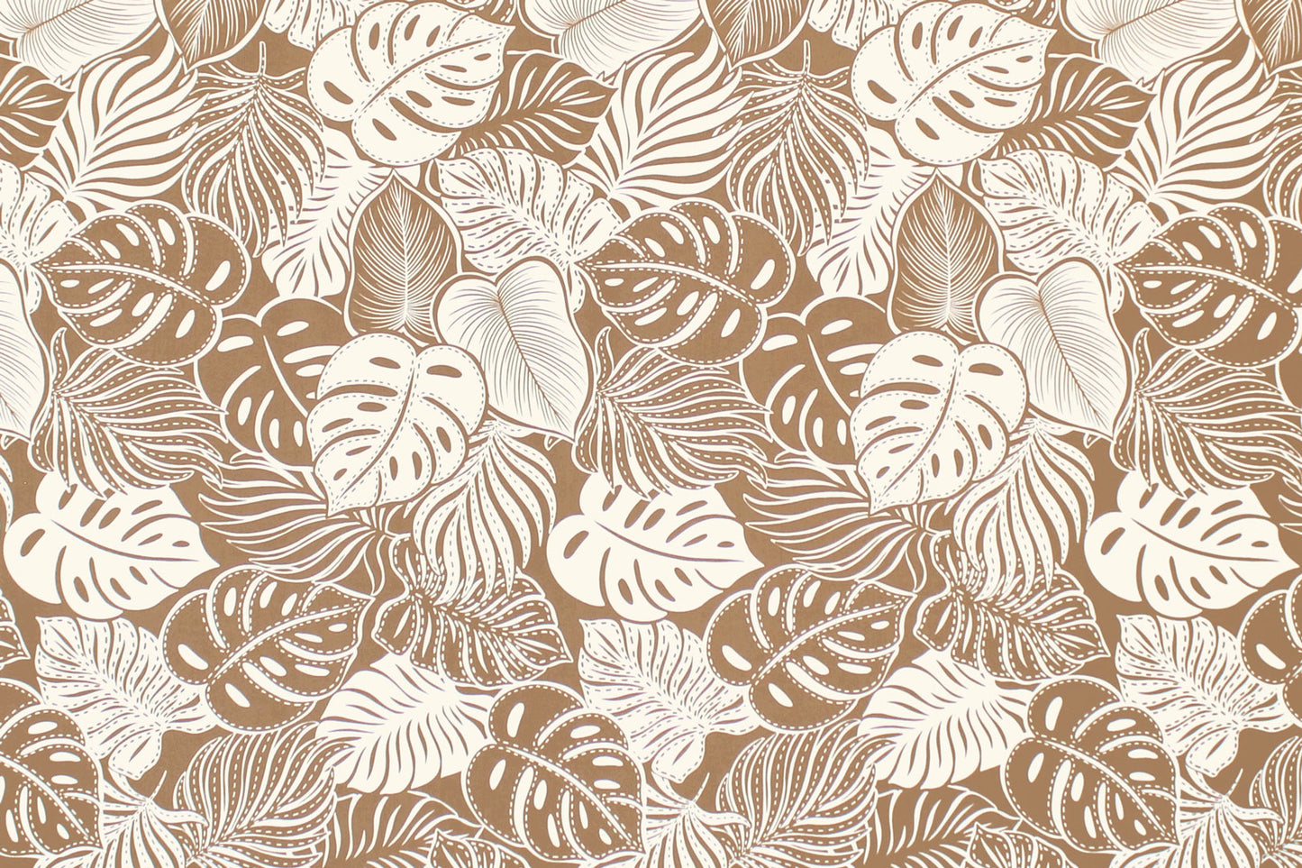 CAA1508 Coconut