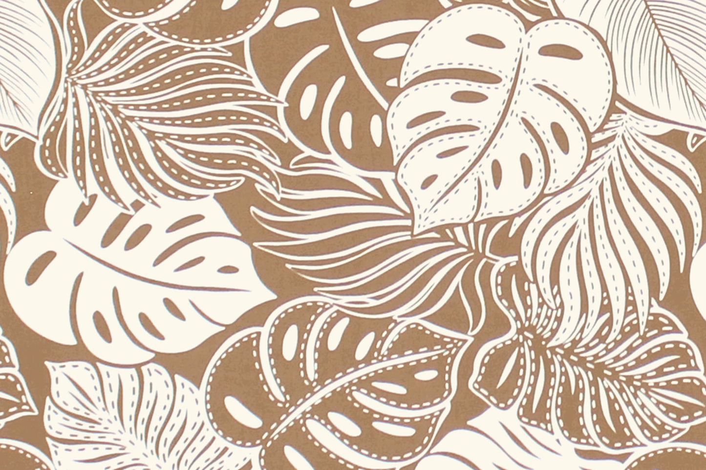 CAA1508 Coconut
