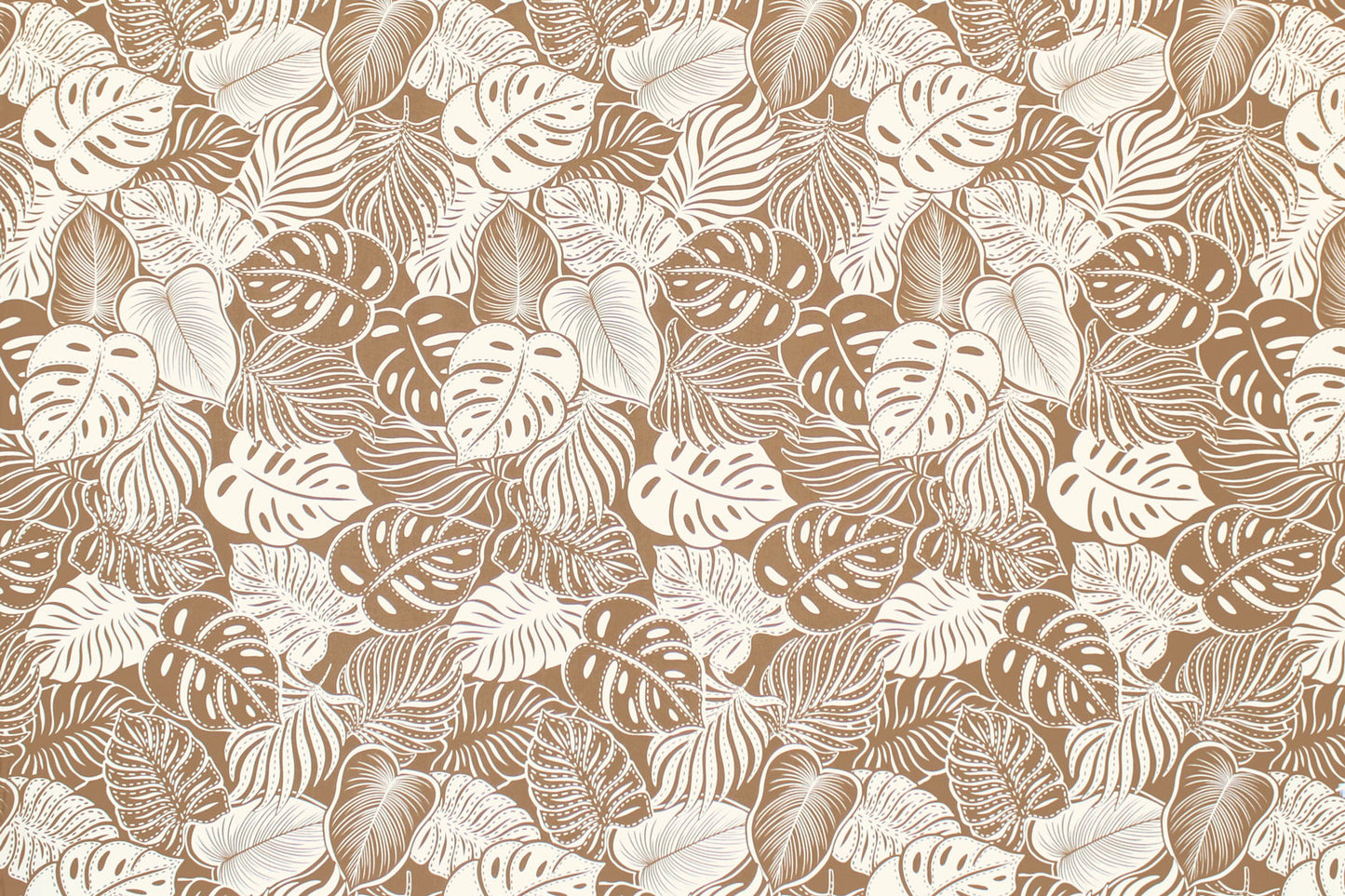 CAA1508 Coconut