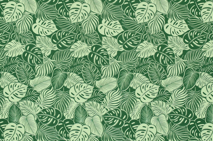 CAA1508 Green