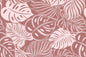 CAA1508 Mauve