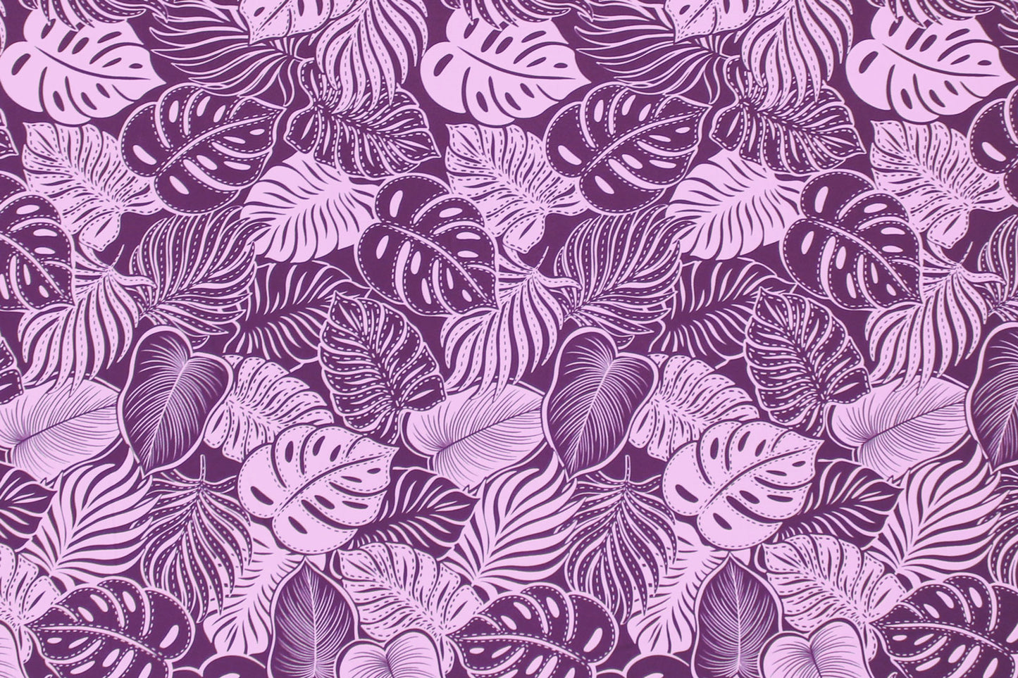 CAA1508 Purple