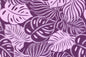 CAA1508 Purple