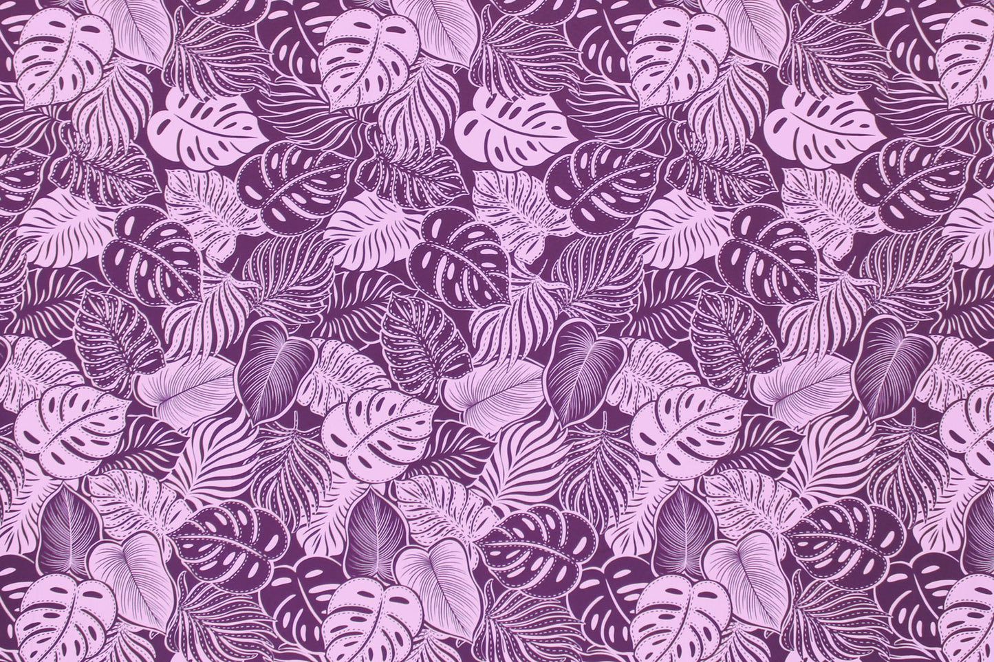 CAA1508 Purple