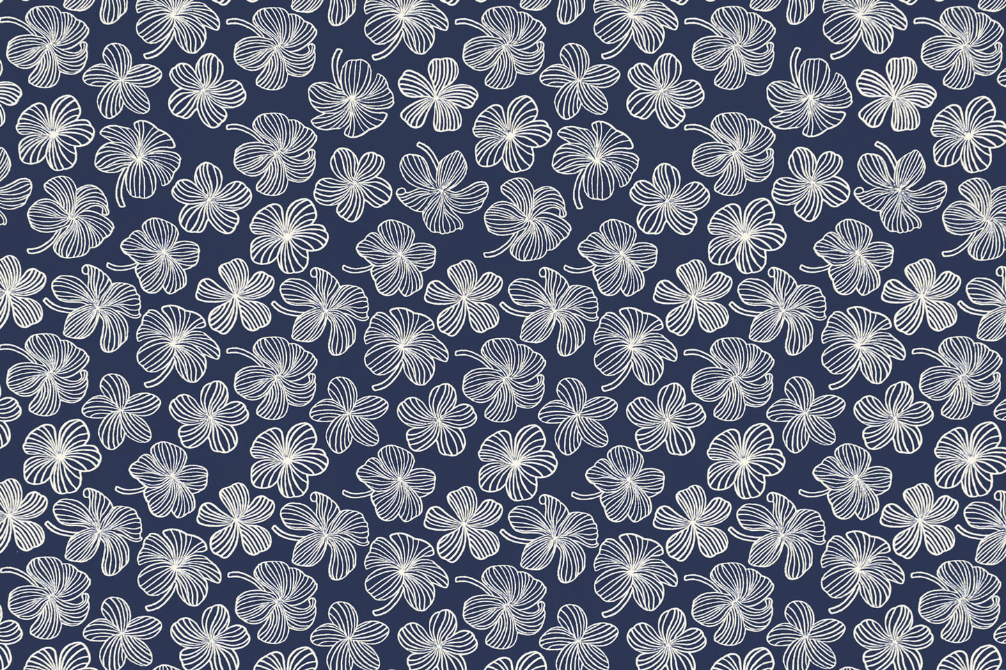 CAA1509 Navy/Cream