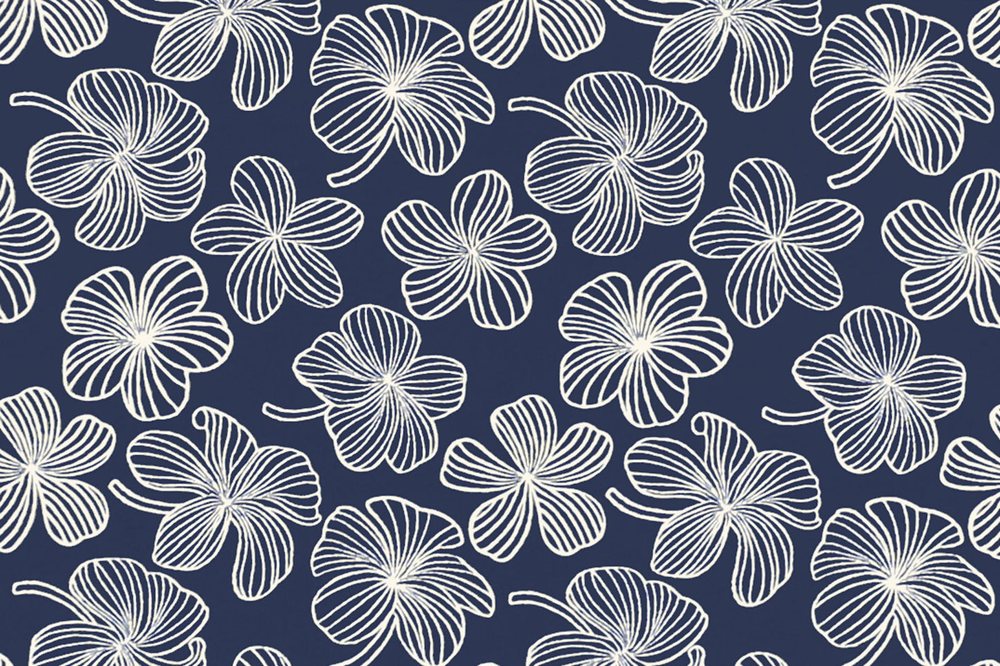 CAA1509 Navy/Cream