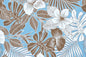 CAA1510 Light Blue