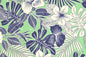 CAA1510 Sage