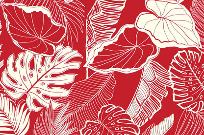 CAA1514 Red