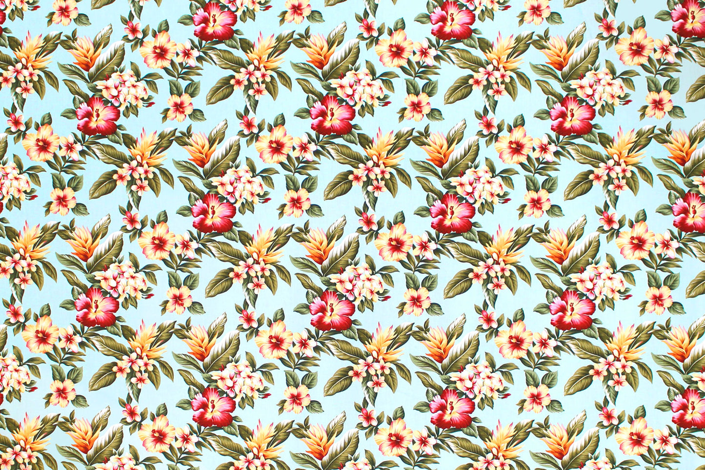 CAA1515 Aqua