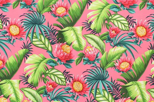 CAA1517 Coral