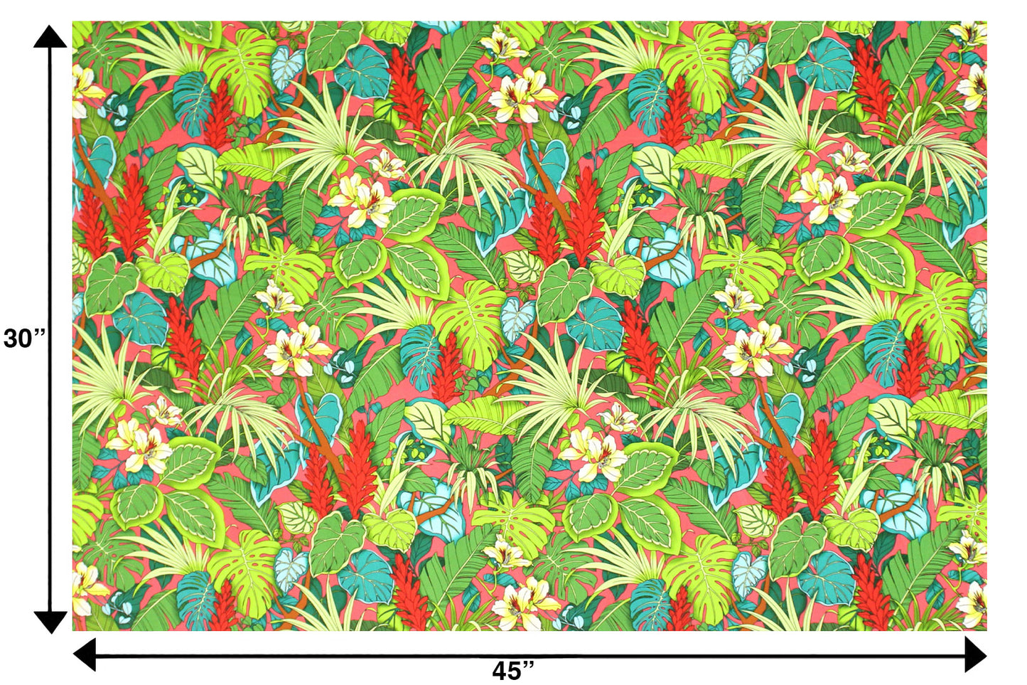 CAA1518 Coral