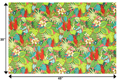 CAA1518 Coral