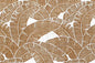 CAA1520 Coconut