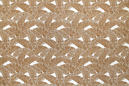 CAA1520 Coconut