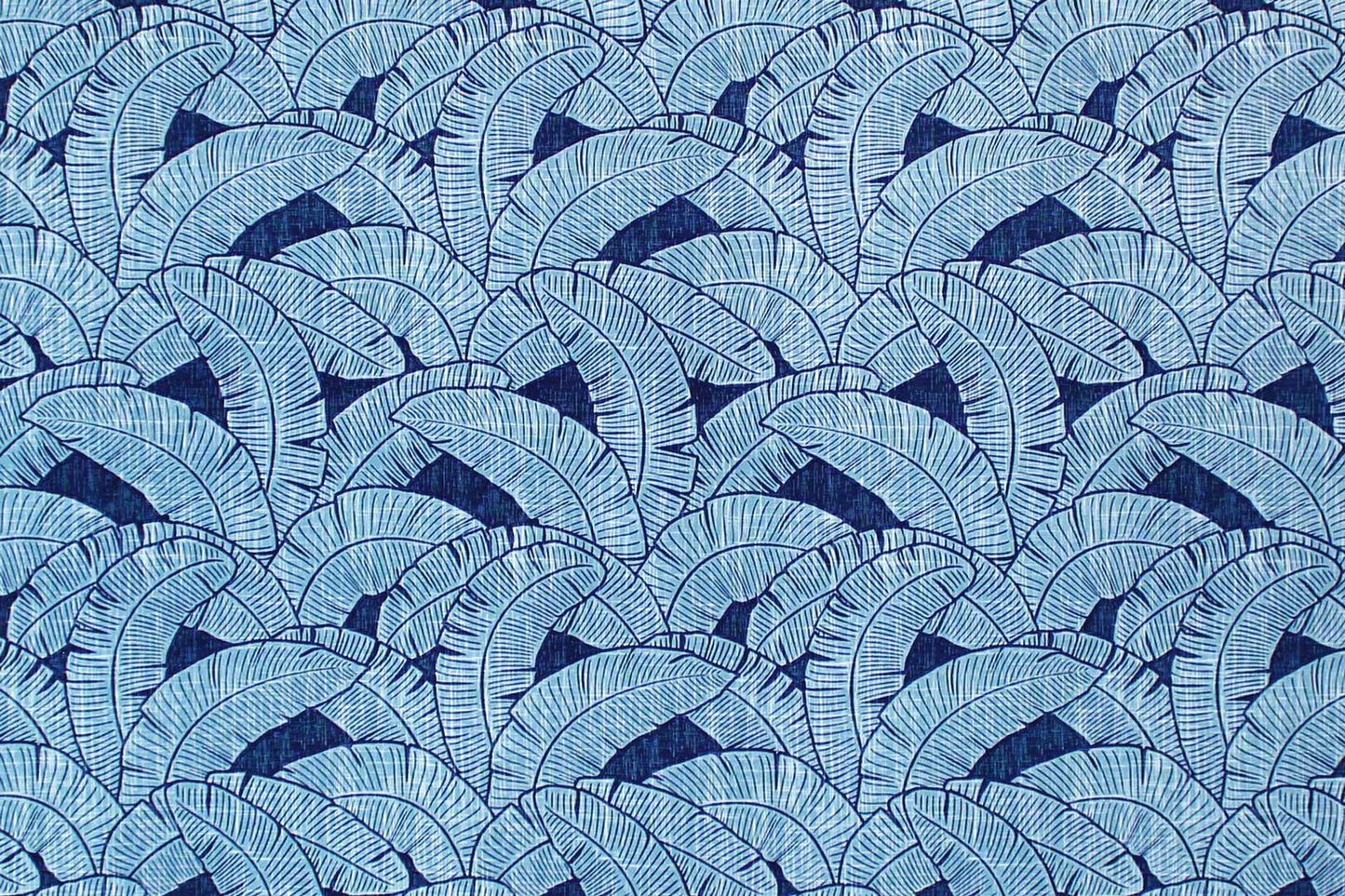 CAA1520 Navy