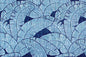 CAA1520 Navy
