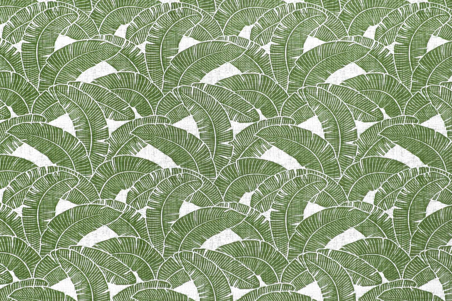 CAA1520 Sage
