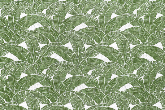 CAA1520 Sage