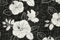 CAA1522 Black