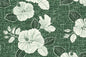 CAA1522 Sage