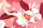CAA1524 Dusty Rose