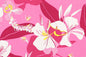 CAA1524 Pink